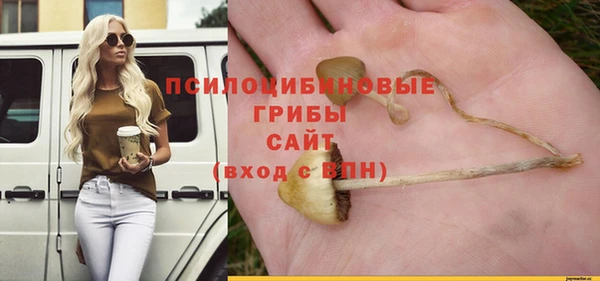 ГАЛЛЮЦИНОГЕННЫЕ ГРИБЫ Абаза