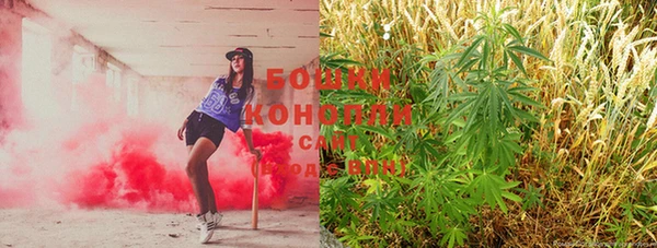 ГАЛЛЮЦИНОГЕННЫЕ ГРИБЫ Абаза