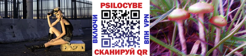 KRAKEN ссылки  Александров  Псилоцибиновые грибы прущие грибы 